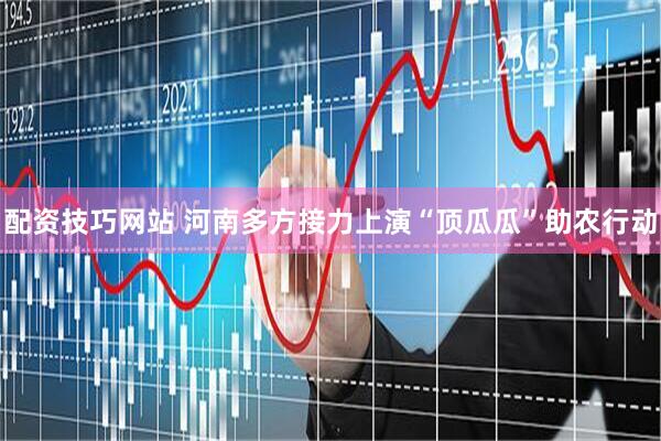 配资技巧网站 河南多方接力上演“顶瓜瓜”助农行动